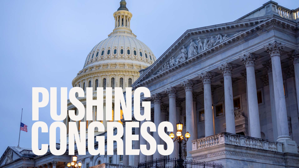 What issues are top priority for vet advocacy groups when Congress returns to session?