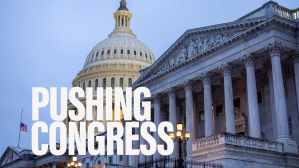 What issues are top priority for vet advocacy groups when Congress returns to session?