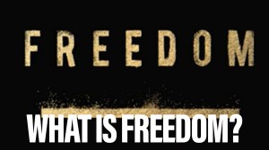 What is freedom? | Observation Post