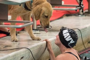 VA program to provide service dogs for some veterans with mental health conditions