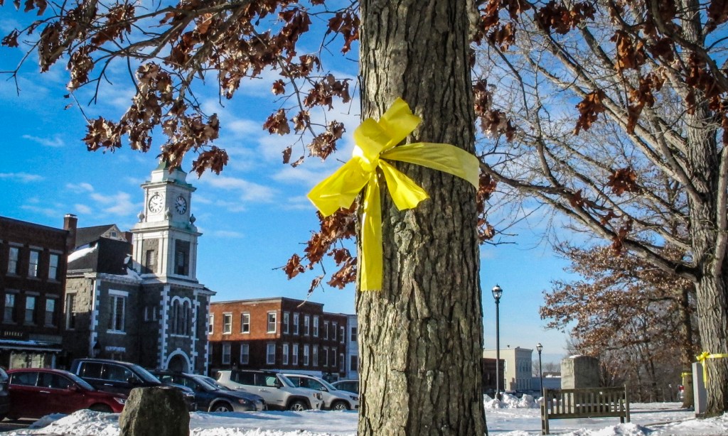 Yellow ribbons honoring troops removed from town green amid speech dispute
