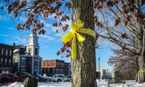 Yellow ribbons honoring troops removed from town green amid speech dispute