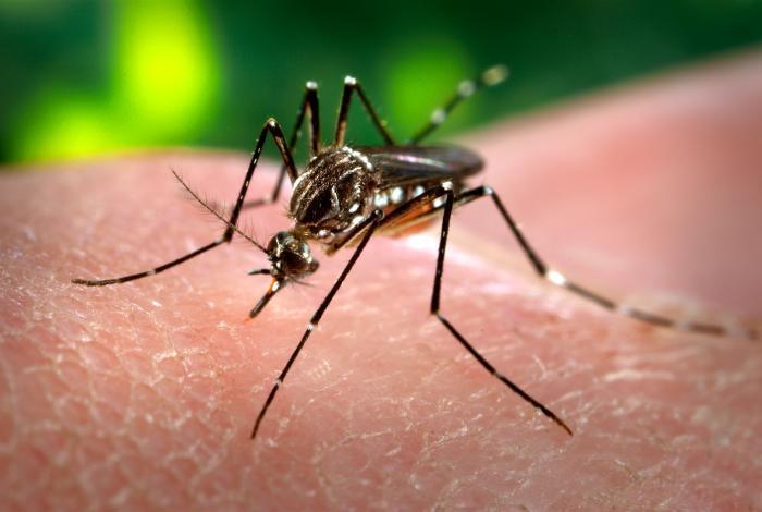 Congress has failed to protect the military from Zika. It’s not too late to fix that