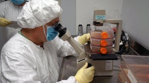 Storied Army institute developing COVID-19 diagnostic test, vaccine
