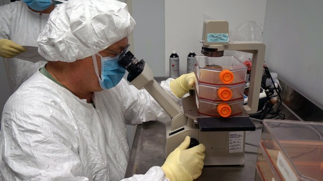 Storied Army institute developing COVID-19 diagnostic test, vaccine